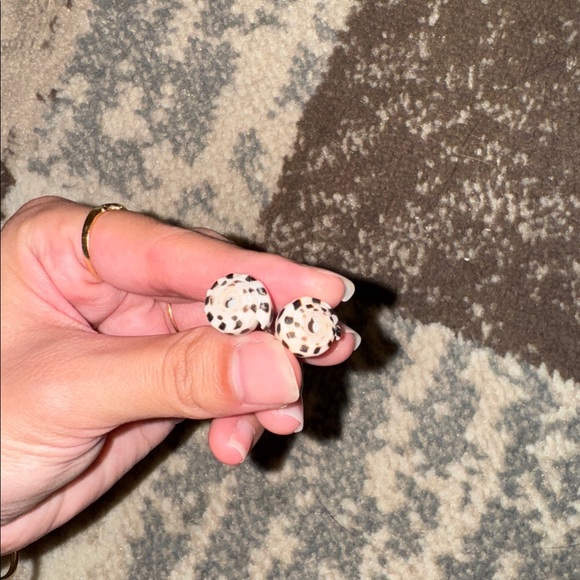 Predrilled Hebrew cone shells - Picture 2 of 3